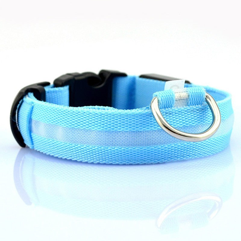 Light-Up Pet Safety Collar – Keep Pets Always Seen