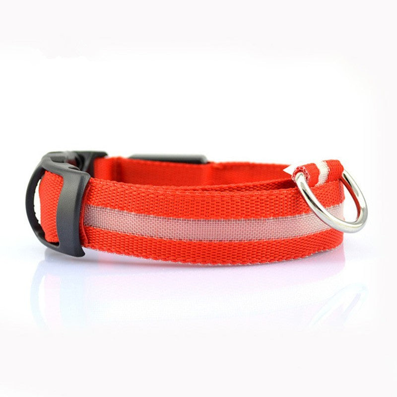 Light-Up Pet Safety Collar – Keep Pets Always Seen