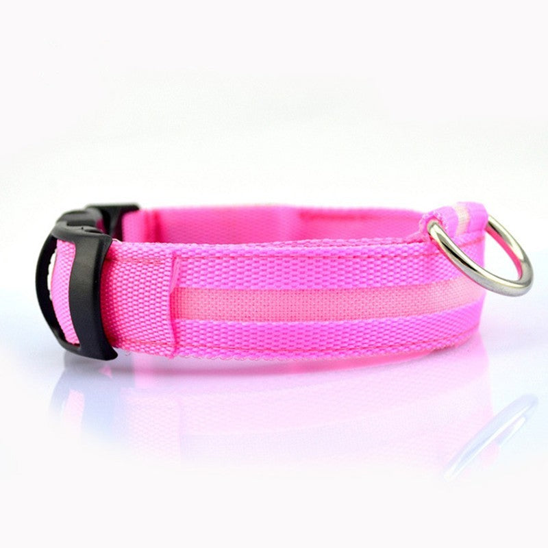 Light-Up Pet Safety Collar – Keep Pets Always Seen