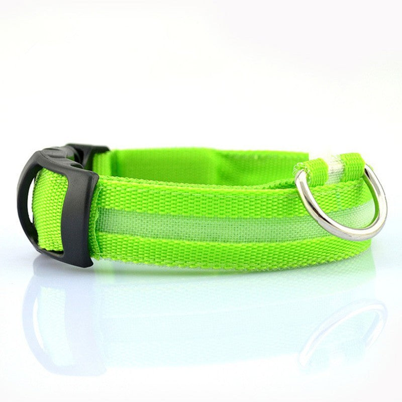 Light-Up Pet Safety Collar – Keep Pets Always Seen