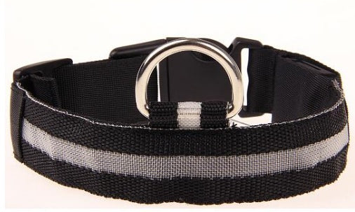 Light-Up Pet Safety Collar – Keep Pets Always Seen