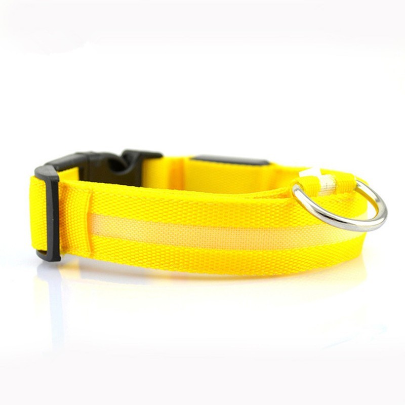 Light-Up Pet Safety Collar – Keep Pets Always Seen